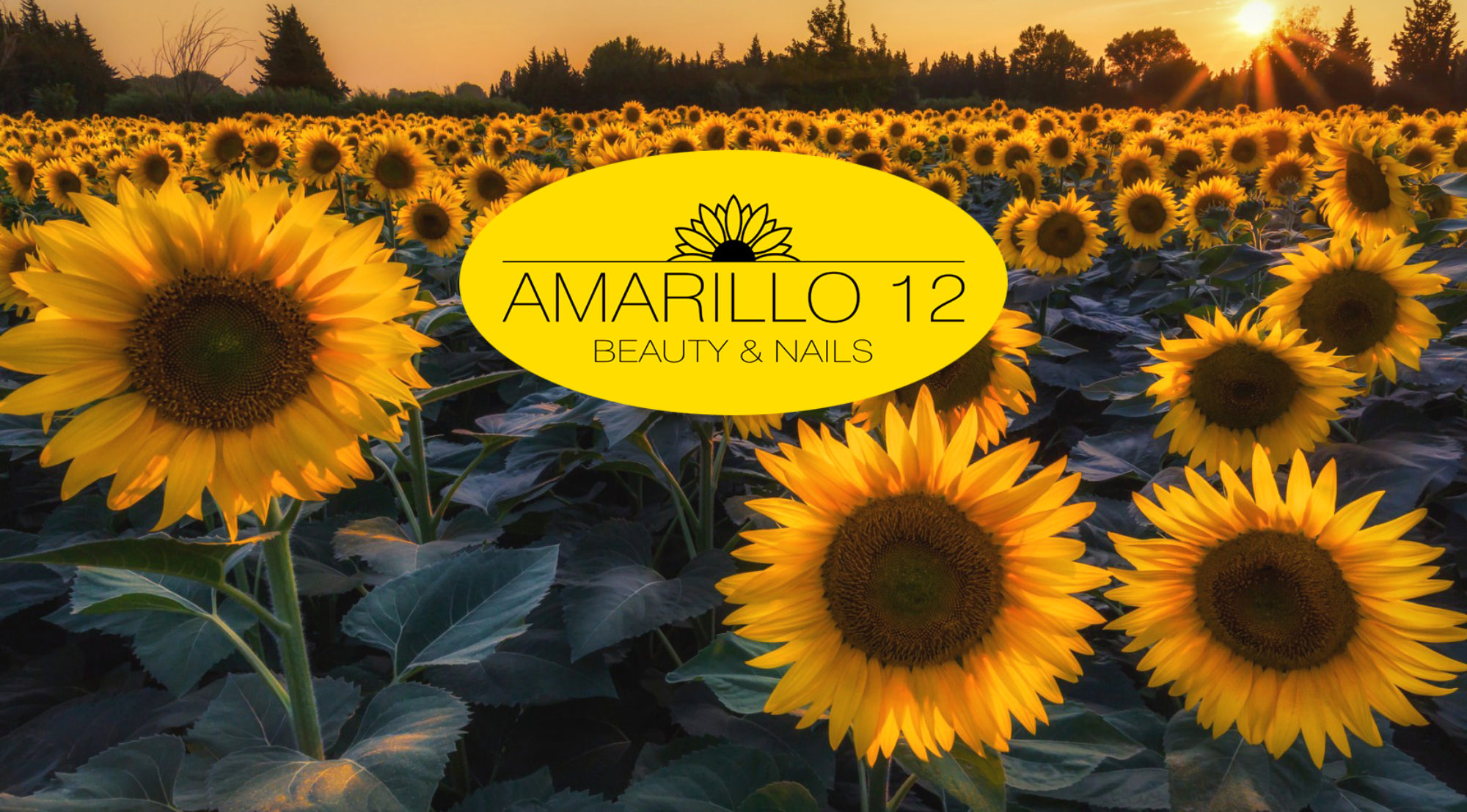 Amarillo 12